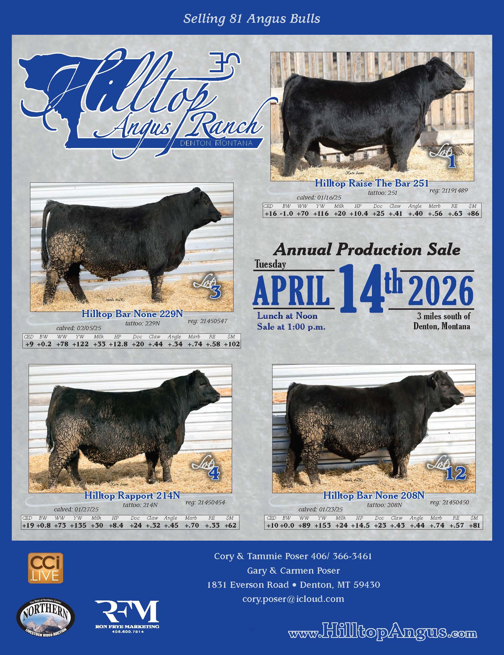 Hilltop Angus Sale